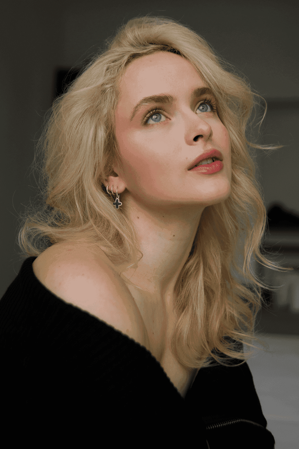 Кот Алиса, фотография 6